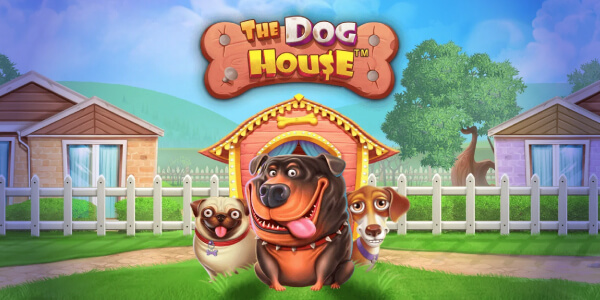 The Dog House